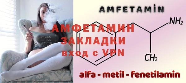 гидра Богородицк