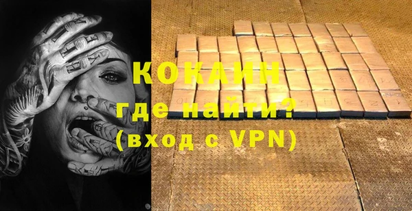 гидра Богородицк