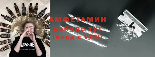 гидра Богородицк