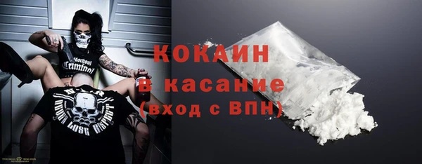 гидра Богородицк
