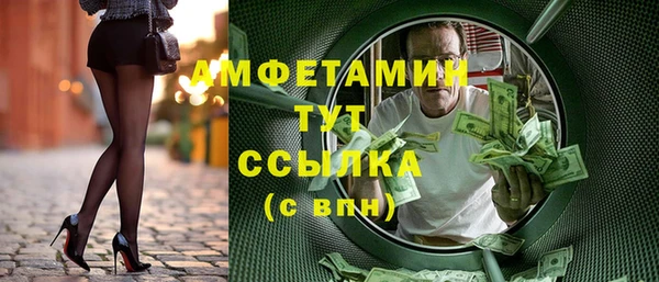 гидра Богородицк