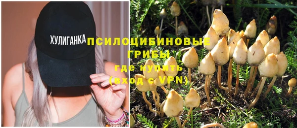гидра Богородицк