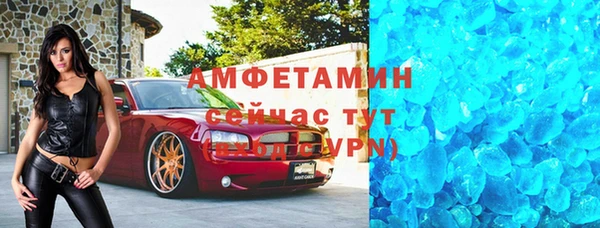 гидра Богородицк