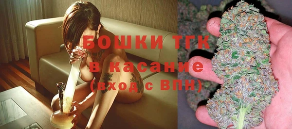 гидра Богородицк