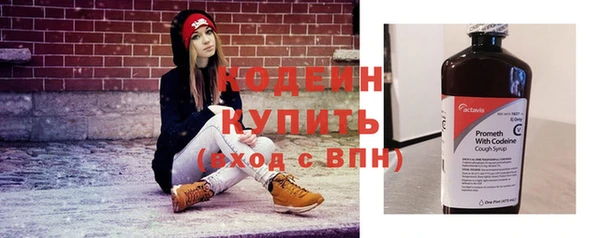 гидра Богородицк