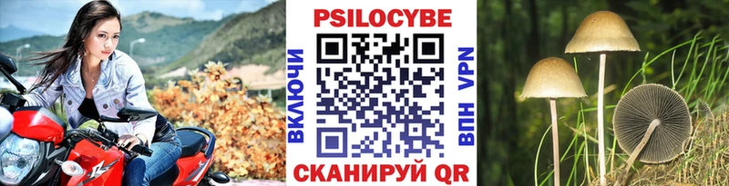 Купить закладки  Одинцово  Галлюциногенные грибы Psilocybine cubensis 